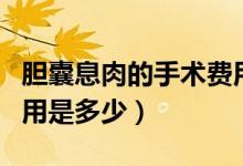 膽囊息肉的手術(shù)費(fèi)用多少（膽囊息肉的手術(shù)費(fèi)用是多少）