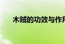 木賊的功效與作用（木賊的營(yíng)養(yǎng)價(jià)值）