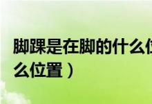 腳踝是在腳的什么位置圖片（腳踝是在腳的什么位置）