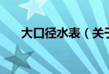 大口徑水表（關(guān)于大口徑水表的介紹）