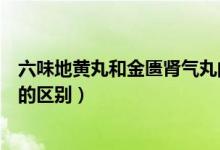 六味地黃丸和金匱腎氣丸的區(qū)別（六味地黃丸和金匱腎氣丸的區(qū)別）