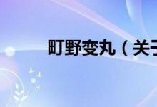町野變丸（關(guān)于町野變丸的介紹）