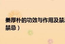 姜厚樸的功效與作用及禁忌癥有（姜厚樸的功效與作用點(diǎn)與禁忌）