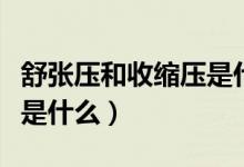 舒張壓和收縮壓是什么意思（舒張壓和收縮壓是什么）