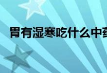 胃有濕寒吃什么中藥（脾胃濕寒吃什么藥）
