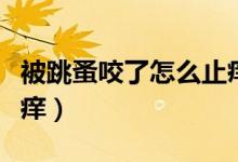 被跳蚤咬了怎么止癢最快（被跳蚤咬了怎么止癢）