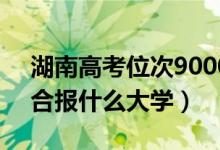 湖南高考位次90000左右推薦什么學校（適合報什么大學）