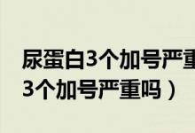 尿蛋白3個(gè)加號嚴(yán)重嗎需要吃什么藥（尿蛋白3個(gè)加號嚴(yán)重嗎）