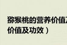 獼猴桃的營(yíng)養(yǎng)價(jià)值及功效（獼猴桃的6個(gè)營(yíng)養(yǎng)價(jià)值及功效）