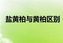 鹽黃柏與黃柏區(qū)別（鹽黃柏和黃柏的區(qū)別）