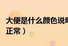 大便是什么顏色說明在排毒（大便是什么顏色正常）