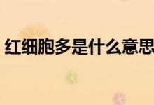 紅細(xì)胞多是什么意思（紅細(xì)胞多是什么原因）