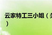 云家特工三小姐（關(guān)于云家特工三小姐的介紹）