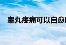 睪丸疼痛可以自愈嗎?（睪丸痛能自愈嗎）