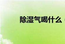 除濕氣喝什么（除濕氣喝什么茶）