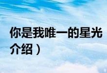 你是我唯一的星光（關于你是我唯一的星光的介紹）