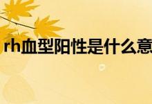 rh血型陽性是什么意思（rh陽性是什么意思）