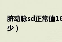 臍動脈sd正常值16周(臍動脈sd正常值是多少)