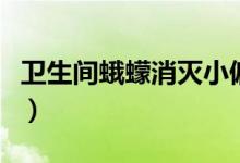 衛(wèi)生間蛾蠓消滅小偏方（如何消滅衛(wèi)生間蛾蠓）