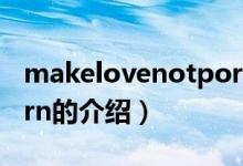 makelovenotporn（關(guān)于makelovenotporn的介紹）