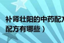 補腎壯陽的中藥配方介紹幾味（補腎壯陽中藥配方有哪些）