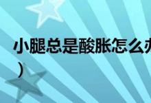 小腿總是酸脹怎么辦（小腿總是酸脹怎么回事）