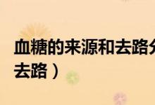 血糖的來源和去路分別是什么（血糖的來源和去路）
