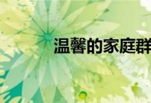 溫馨的家庭群名字（太溫馨了）