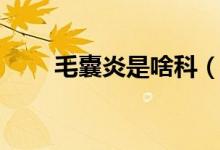 毛囊炎是啥科(毛囊炎是啥樣癥狀)