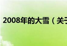 2008年的大雪（關于2008年的大雪的介紹）