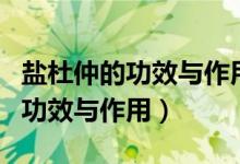 鹽杜仲的功效與作用主要治什么病（鹽杜仲的功效與作用）