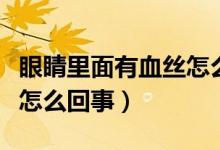 眼睛里面有血絲怎么引起的（眼睛里面有血絲怎么回事）