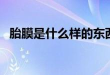 胎膜是什么樣的東西（胎膜是什么樣子的）