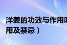 洋姜的功效與作用吃法大全（洋姜的功效與作用及禁忌）