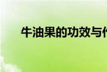 牛油果的功效與作用（牛油果是什么）