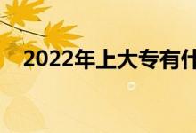 2022年上大專有什么出路（有什么前景）