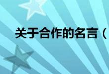 關(guān)于合作的名言（有哪些合作的名言呢）