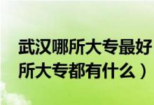 武漢哪所大專最好（2022武漢比較好考的十所大專都有什么）