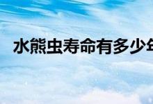 水熊蟲壽命有多少年（你了解過水熊蟲嗎）