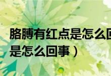 胳膊有紅點(diǎn)是怎么回事不痛不癢（胳膊有紅點(diǎn)是怎么回事）