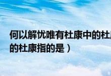 何以解憂唯有杜康中的杜康是什么酒（何以解憂唯有杜康中的杜康指的是）