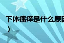 下體瘙癢是什么原因怎么治（下體瘙癢是什么）