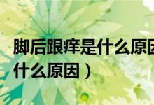 腳后跟癢是什么原因怎么治療呢（腳后跟癢是什么原因）
