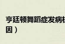 亨廷頓舞蹈癥發(fā)病機(jī)理（亨廷頓舞蹈癥發(fā)病原因）