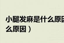 小腿發(fā)麻是什么原因如何治療（小腿發(fā)麻是什么原因）