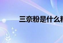 三奈粉是什么粉（三奈粉的介紹）