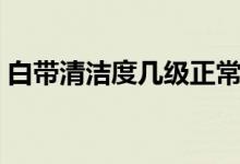 白帶清潔度幾級(jí)正常（白帶清潔度幾度最好）
