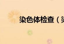 染色體檢查（染色體檢查多少錢）