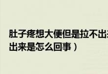 肚子疼想大便但是拉不出來怎么辦（肚子疼想大便但是拉不出來是怎么回事）