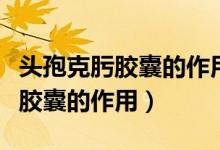 頭孢克肟膠囊的作用與功效說明書（頭孢克肟膠囊的作用）